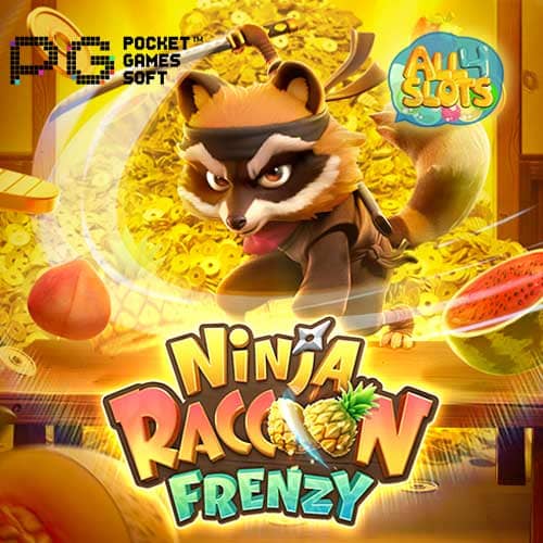 Ninja Raccoon Frenzy